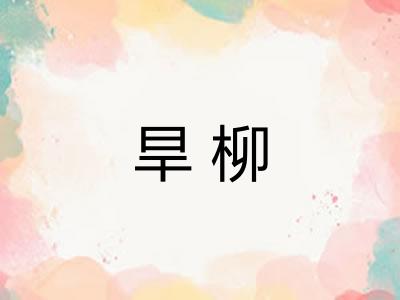 旱柳