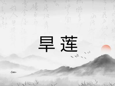 旱莲