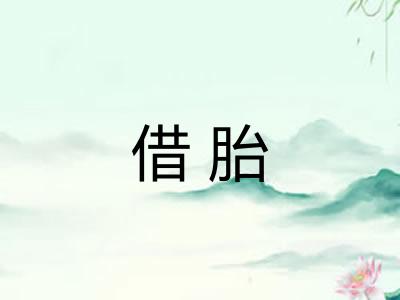 借胎