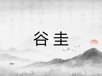谷圭
