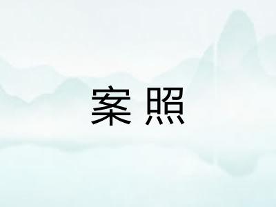 案照 案照