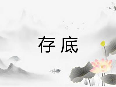 存底