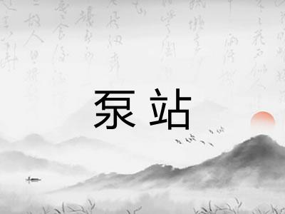 泵站 泵站