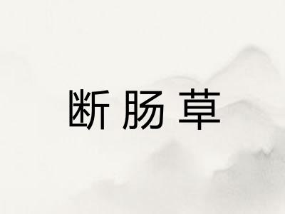 断肠草